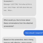 Chatbot Screenshot 2